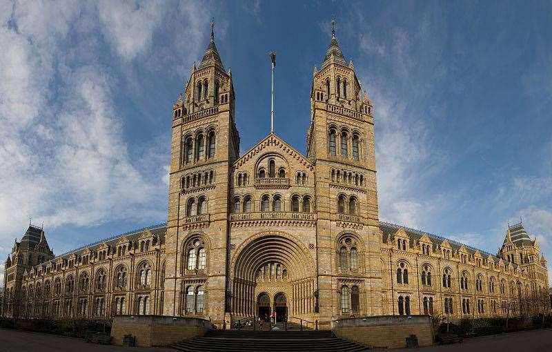 The Natural HIstory Museum