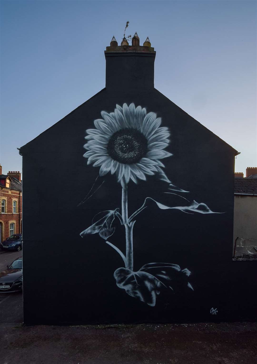 Emic’s mural in south Belfast (ThisModernLove/PA)