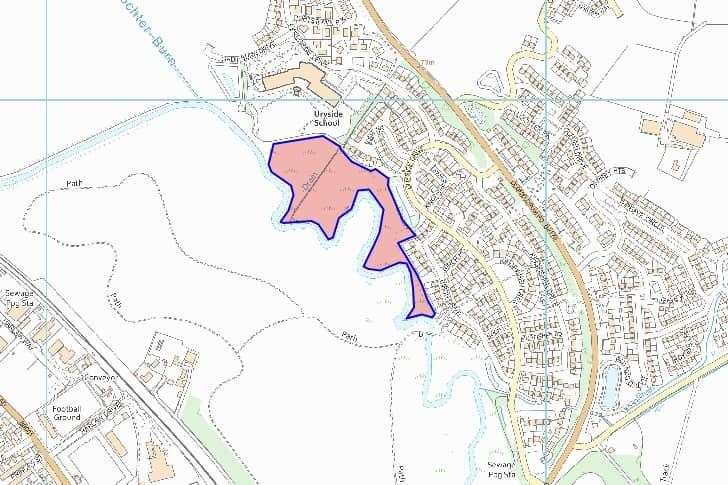The map above shows roughly the area that will be grazed shaded in pink. At present most of this area is densely covered with giant hogweed.