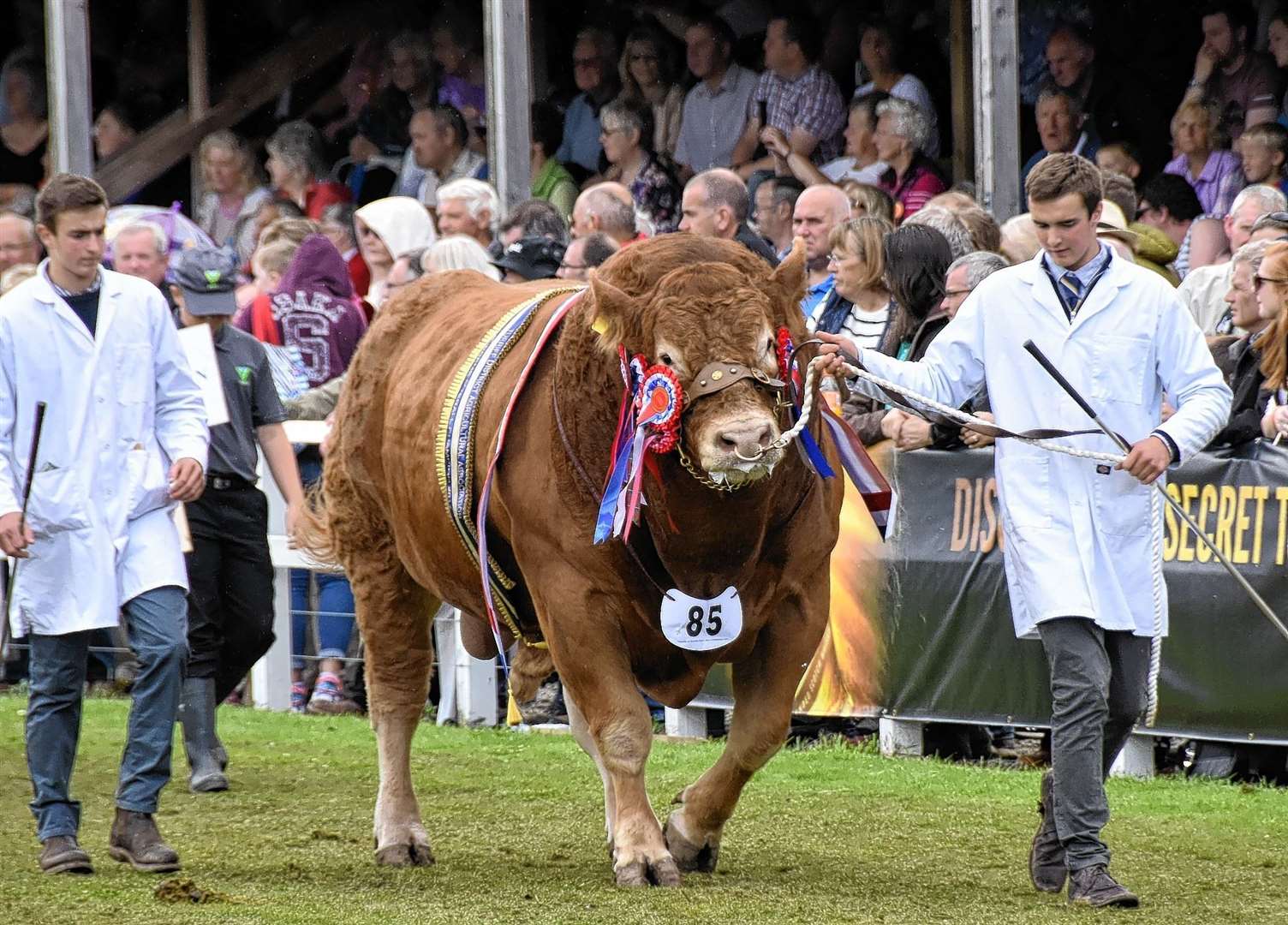 Turriff Show, the largest two-day agricultural show in Scotland, will return at the end of July.