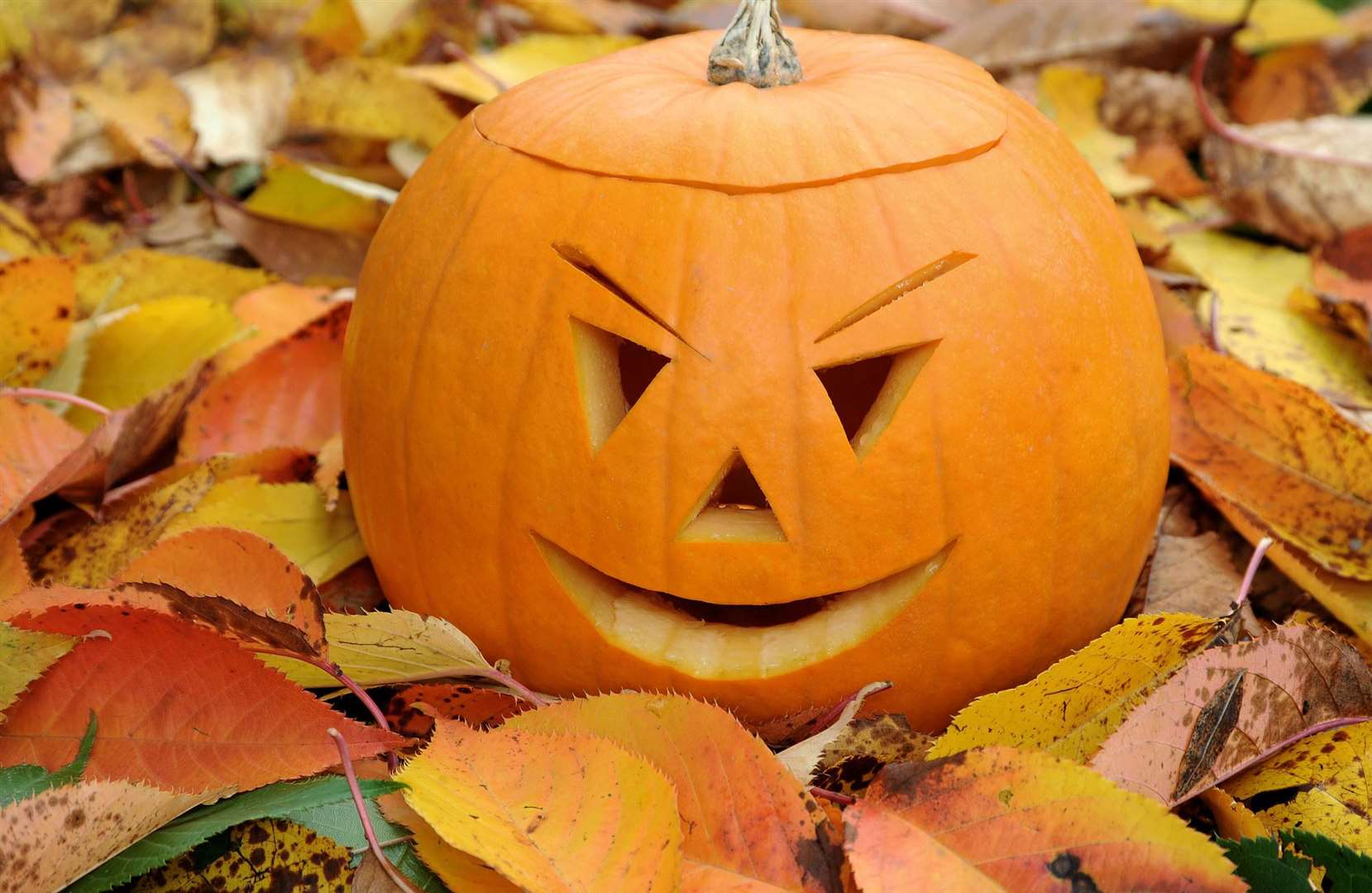 Aberdeenshire Council is hoping to reduce the food waste problem this Halloween by asking residents to put pen to pumpkin and consume their gourds instead of carving them this year.