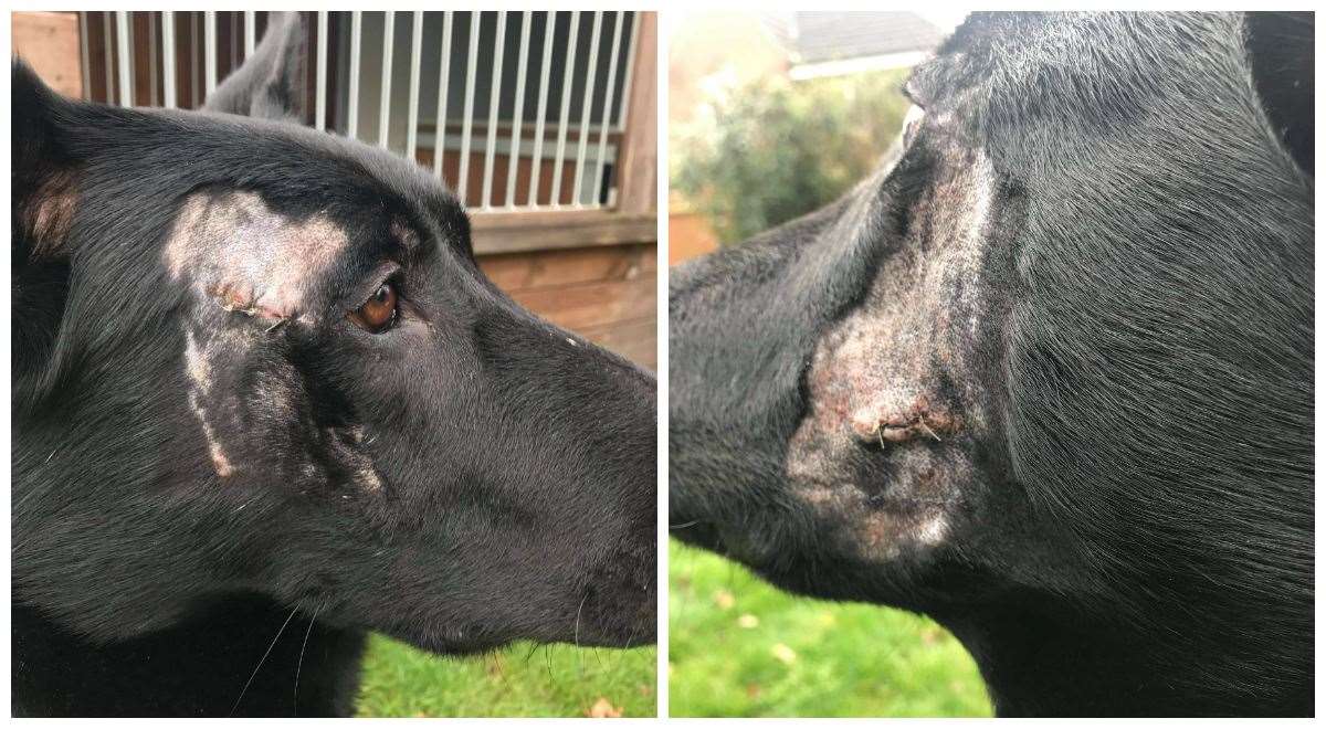 Stark’s injuries have been stitched up (West Midlands Police/PA)