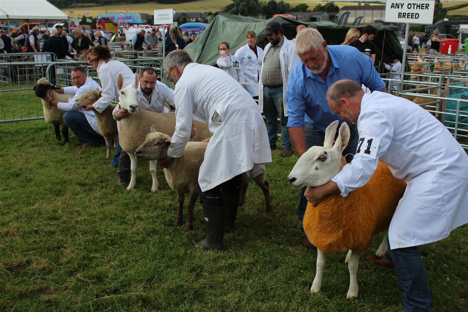 Turriff Show Monday. Picture: Kyle Ritchie