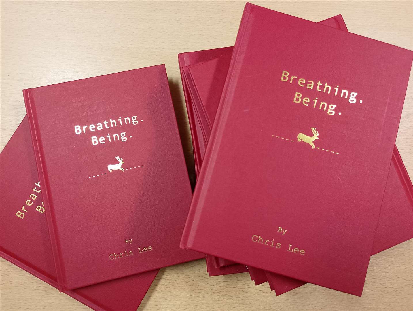 Breathing. Being by Chris Lee. Picture: Graeme Roger