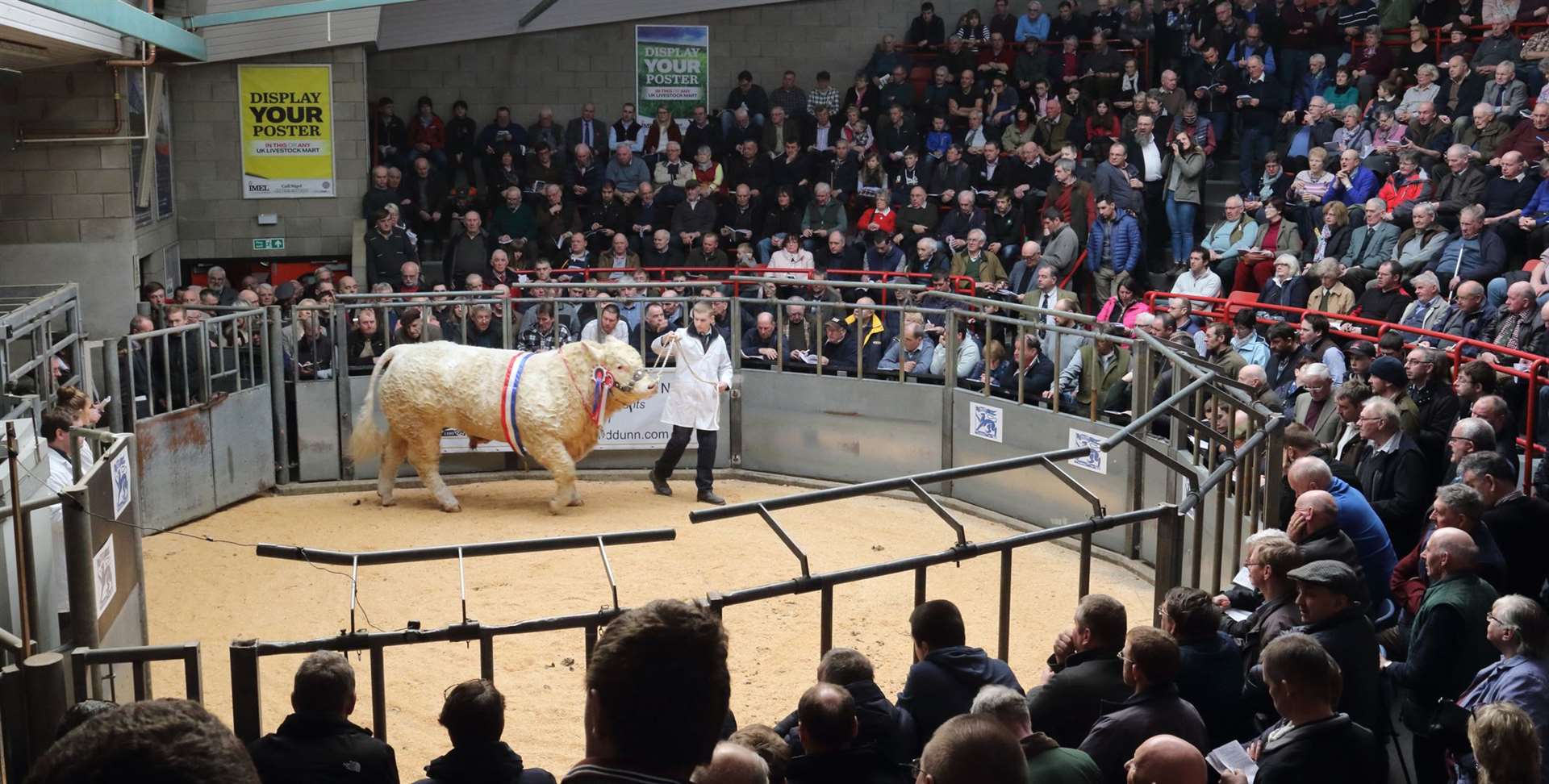 The Royal Northern Agricultural Society's Spring Show heads to Thainstone.