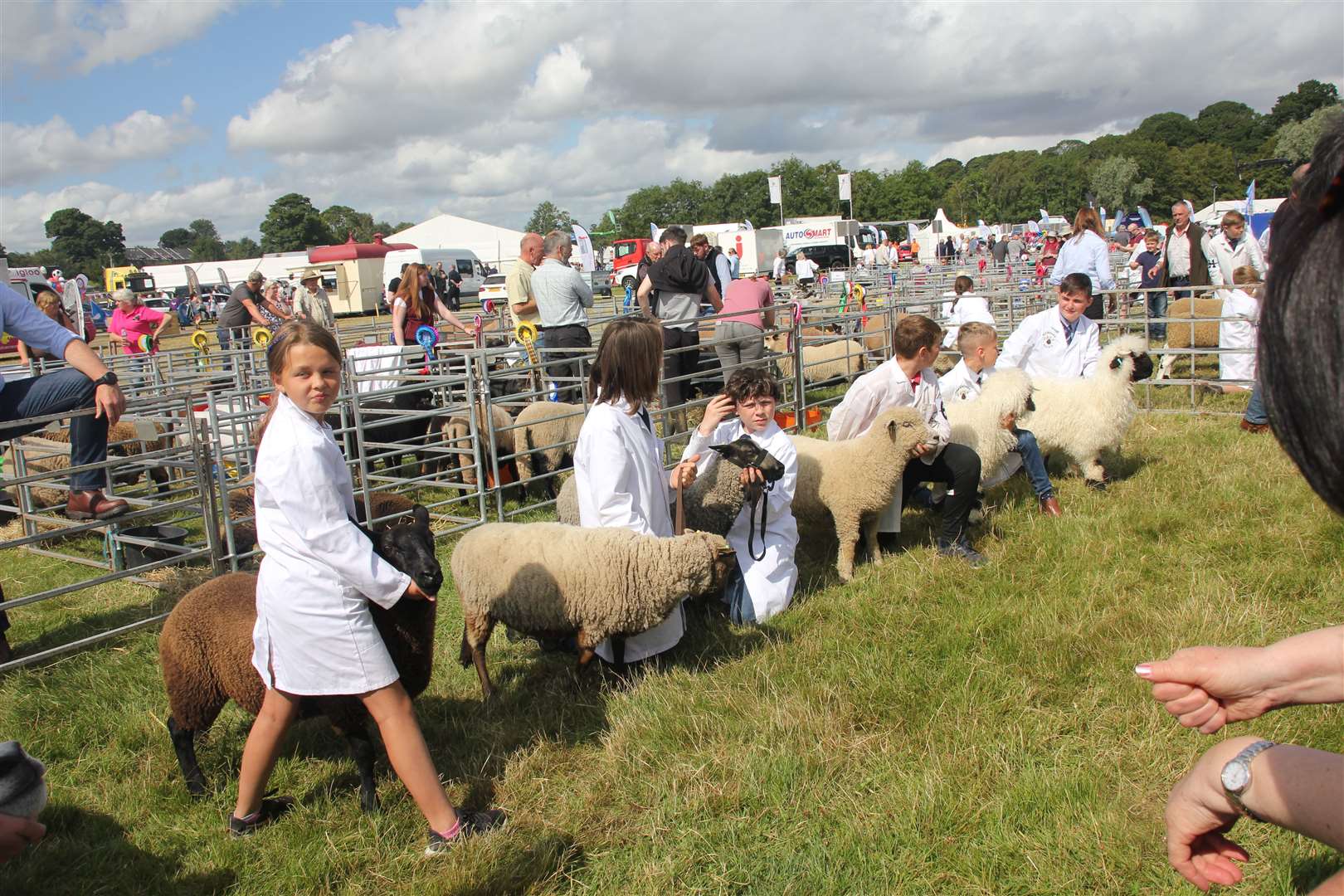 Turriff Show has received funding to improve WiFi at the show site.