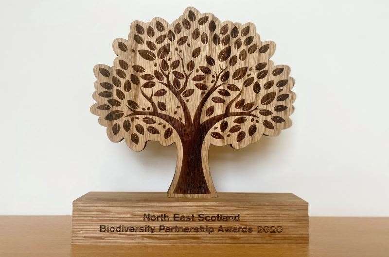 Winners have been announced for the North East Biodiversity Partnership awards