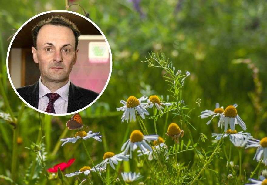 Moray Council has agreed a policy to help protect green areas around the region's main towns. Inset: Planning committee chairman Councillor David Gordon.
