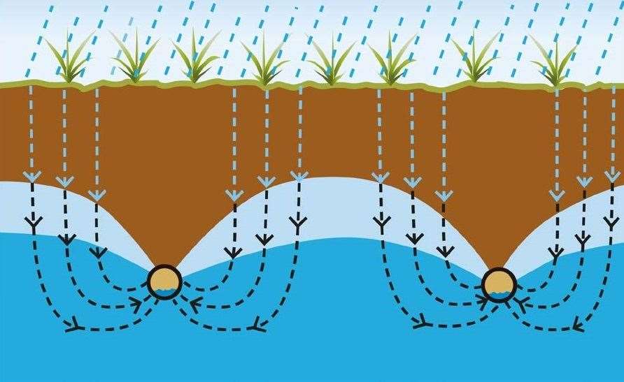 Excess winter rain can affect nitrogen uptake