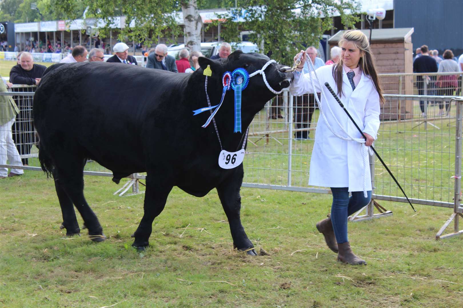 Young handler champion Ellie Milne. Picture: Kyle Ritchie