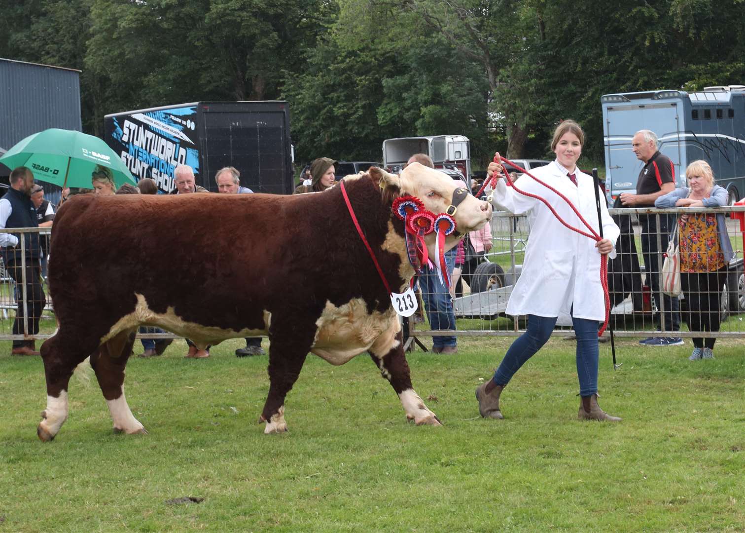 Other breed champion Hereford bull Milovaig 1 Vindicator. Picture: David Porter