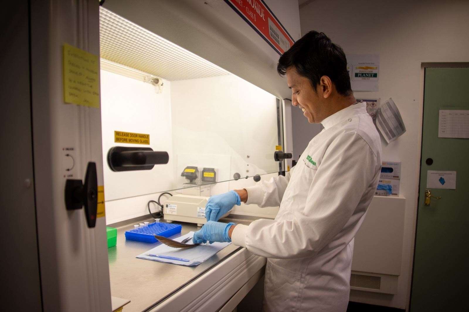 Estrazione del DNA in un laboratorio dello zoo di Edimburgo.  Foto: Royal Zoological Society of Scotland.