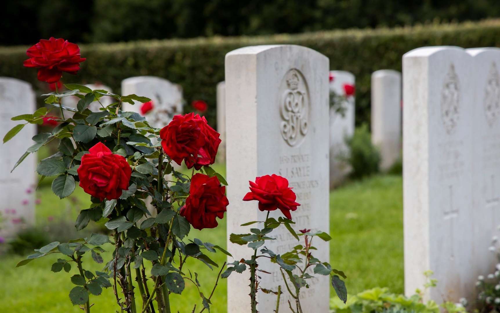 The Commonwealth War Graves commision is appeal to find realatives of 17 soldiers.
