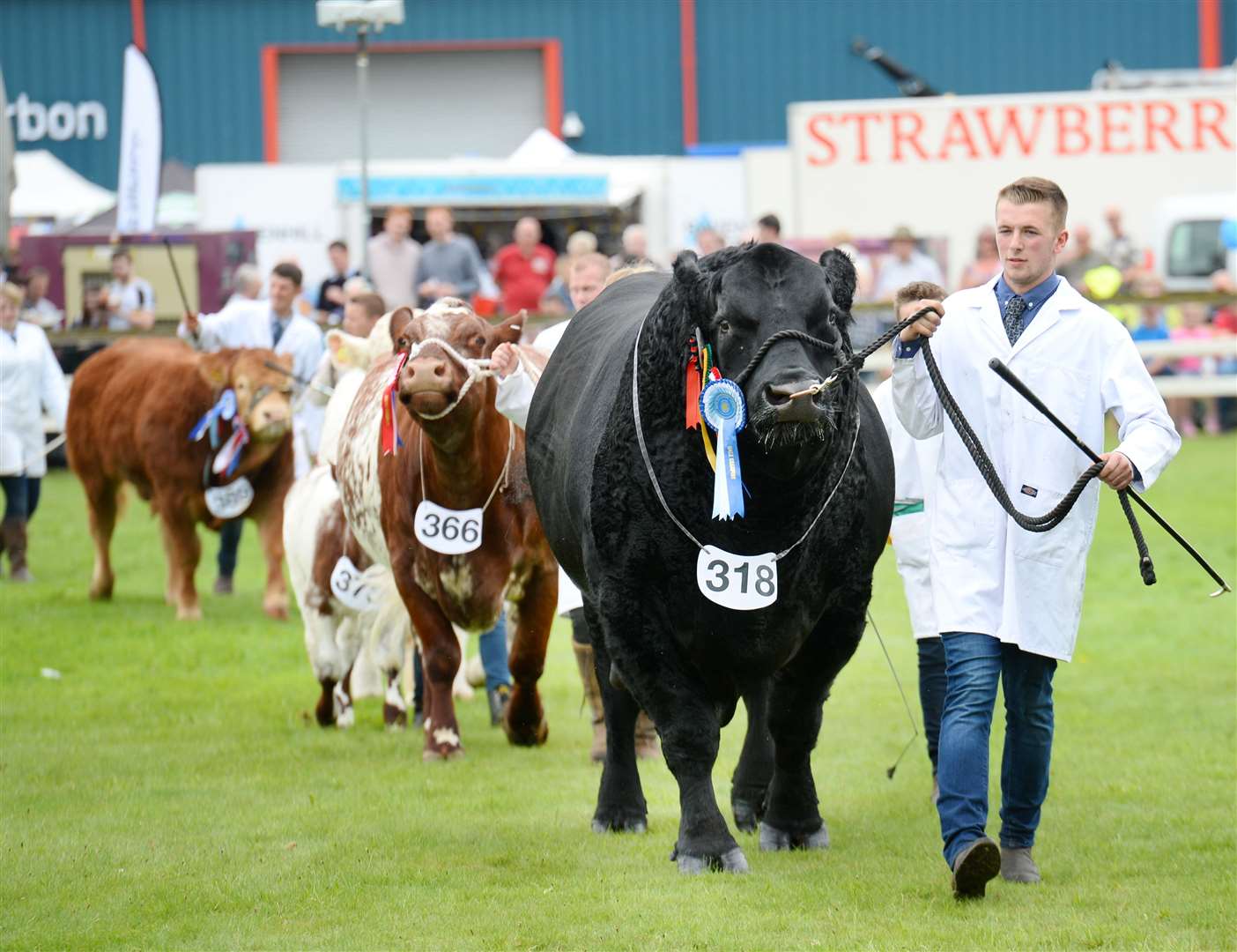 The Parade of Champions from the 2019 event. Picture: Gary Anthony.