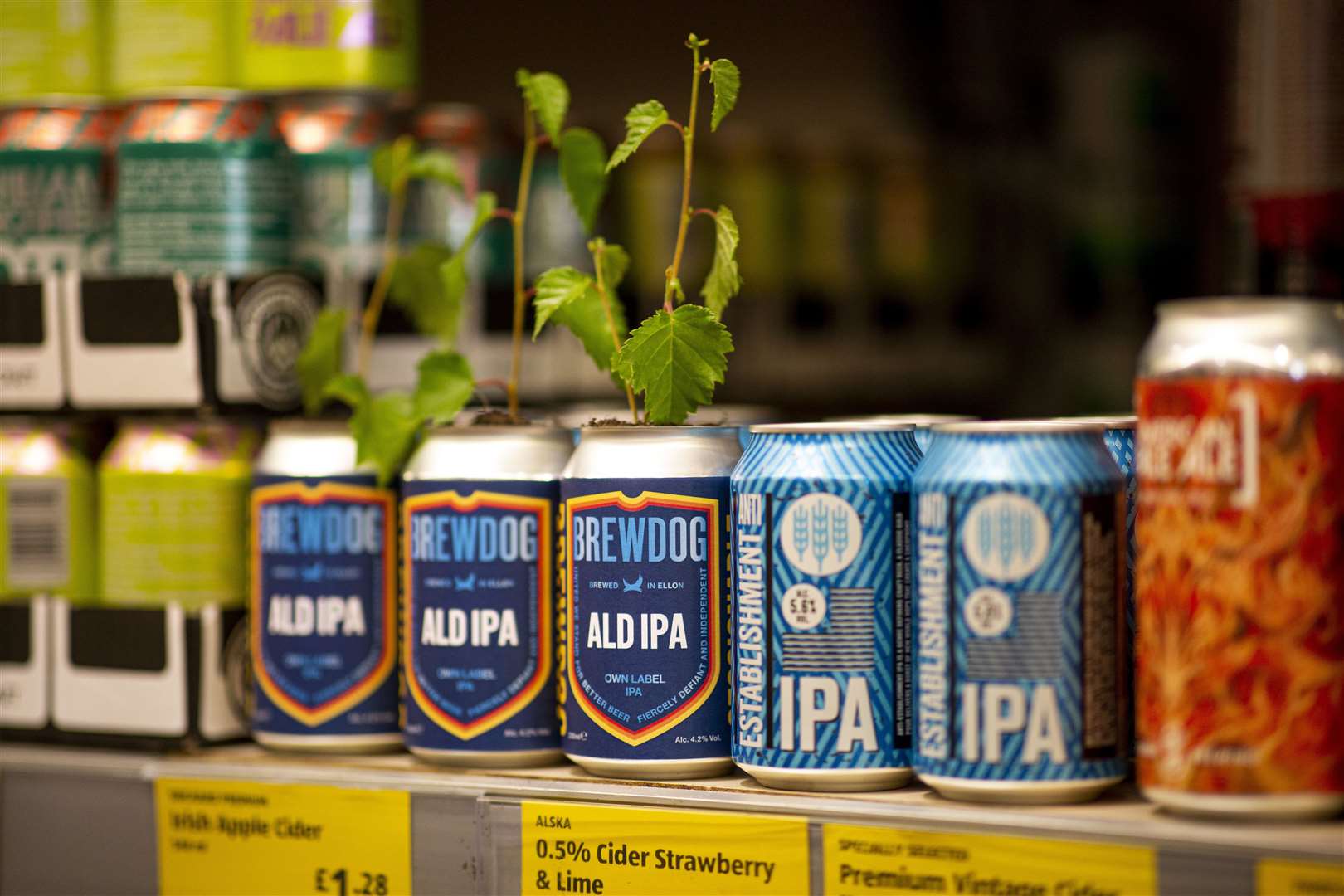 Brewdog and Aldi have collaborated on new beer ALD IPA.