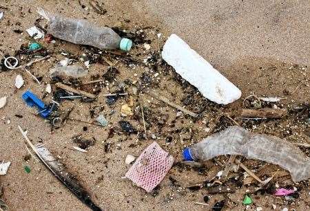 Plastic Pollution, Plastic, Macduff Marine Aquarium