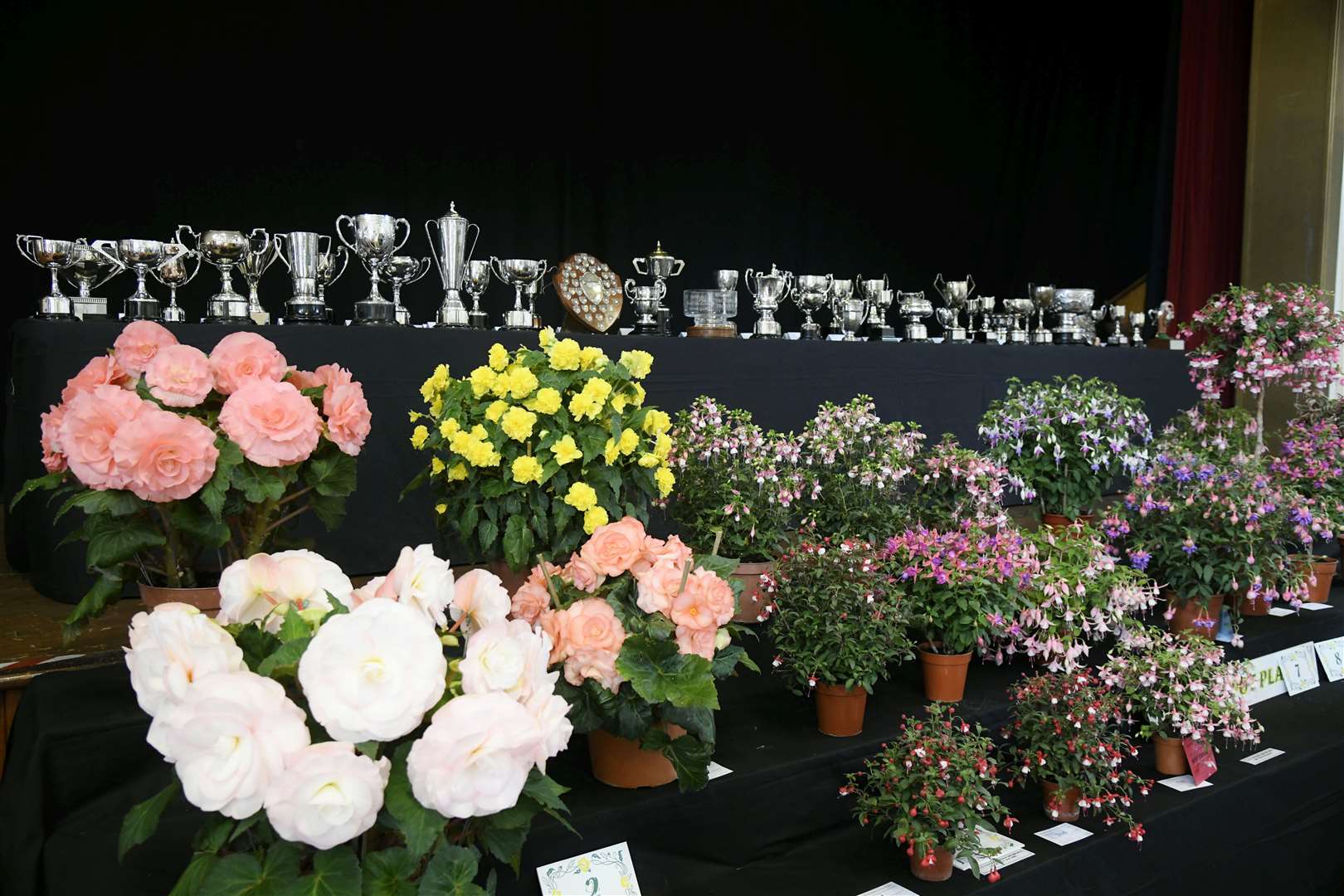 Even more beautiful entries and the trophies. Picture: Beth Taylor