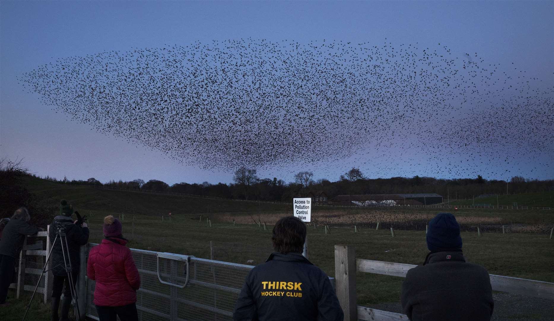 Crowds have been gathering to watch the early evening aerobatics (Owen Humphreys/PA)