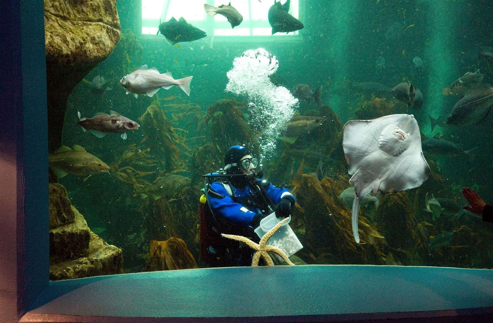 Macduff Marine Aquarium is one of several north-east recipients of funding from the Coastal Communities Challenge Fund.