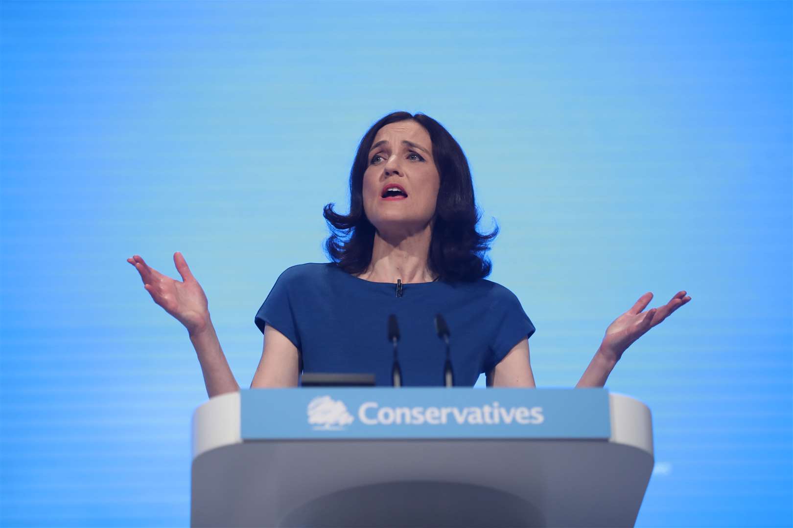 Theresa Villiers was one of the MPs to self-publish her character reference (Danny Lawson/PA)