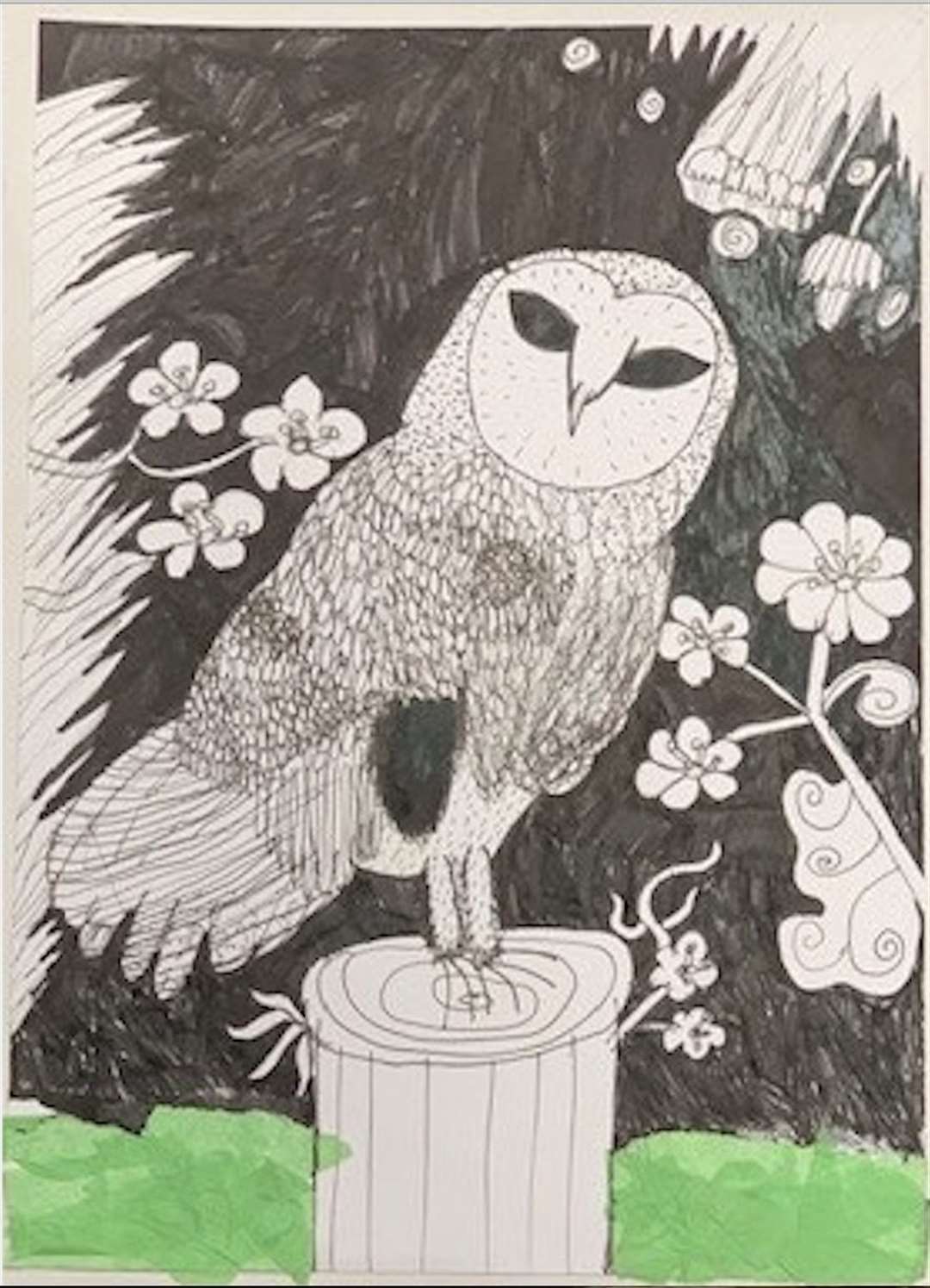 Ruby Hanington from Drumblade Primary was the overall winner in the primary schools’ competition with her drawning of an owl.