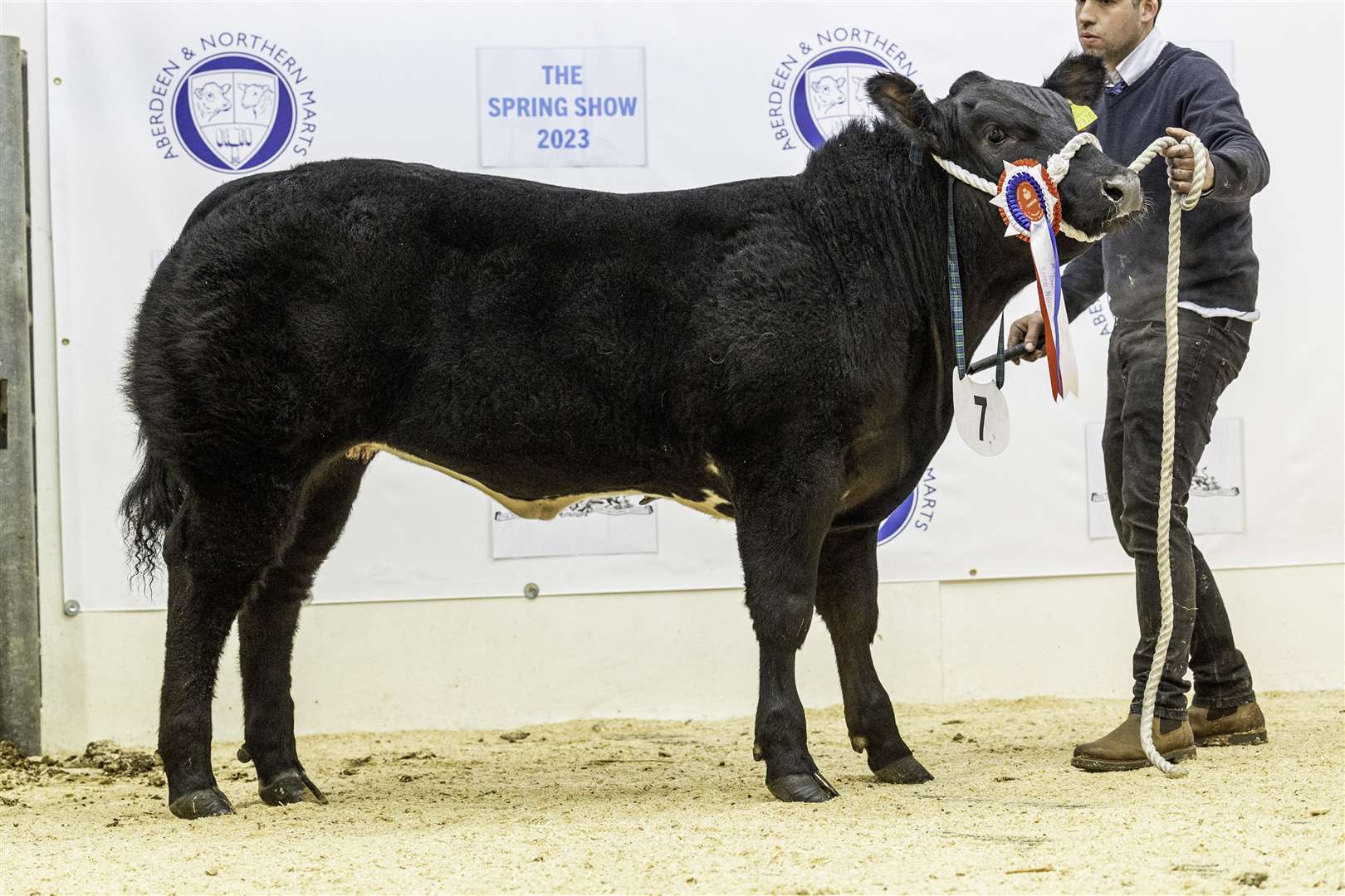 The top price commercial heifer champion from 2023.