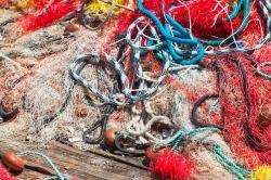 Fishermen want the Scottish Government to consider the economic considerations.