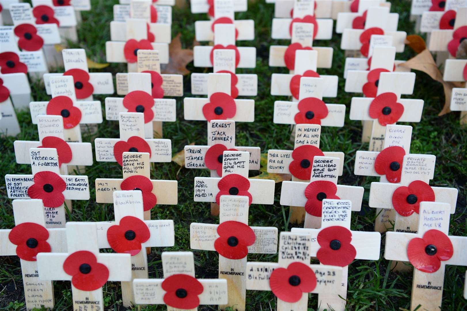 The Field of Remembrance at Westminster Abbey in 2018 (Kirsty O’Connor/PA)