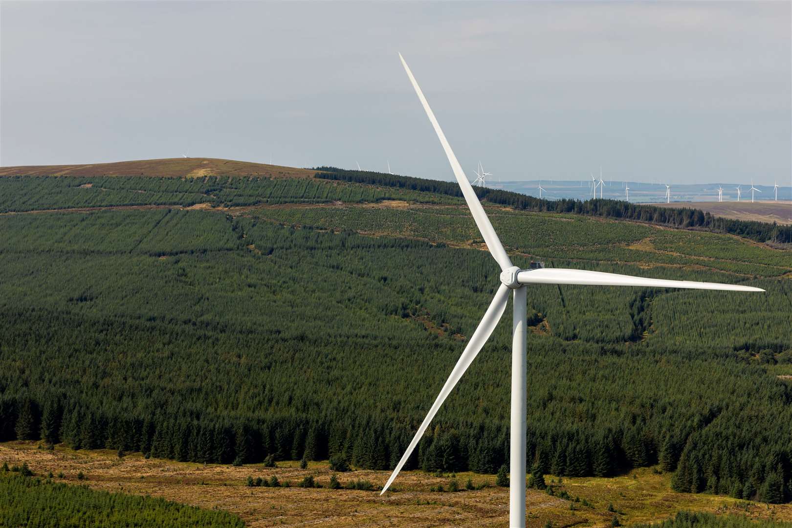 Hill of Fare Windfarm Information Group has warned that without a Public Inquiry, the proposed controversial Hill of Fare Windfarm is inevitable.