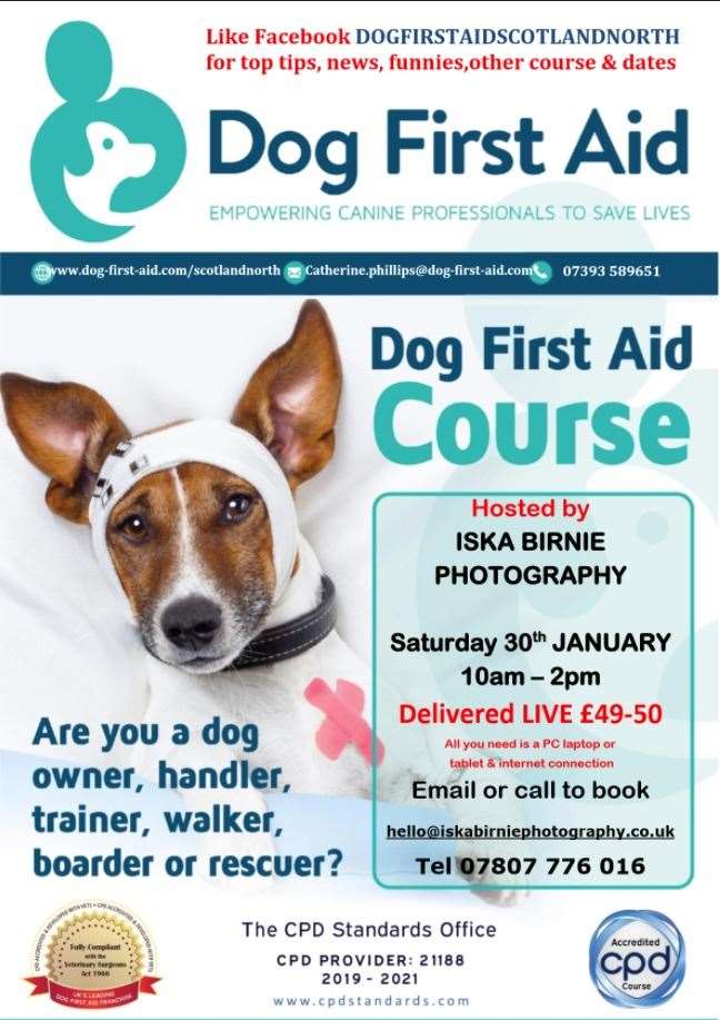 Iska Birnie Photography's fundraising first aid course.