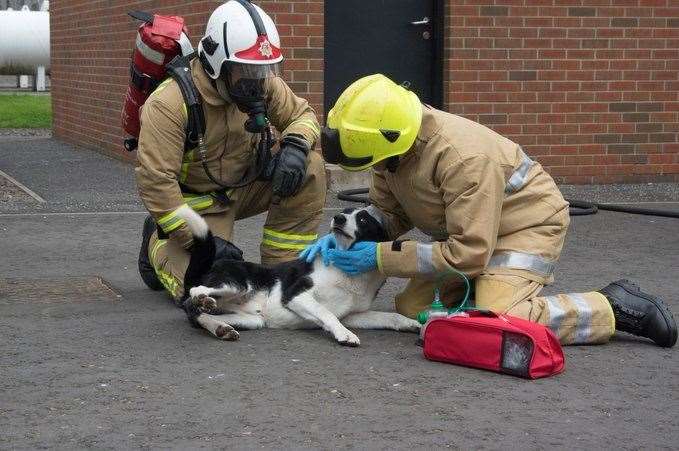 A campaign has been launched to ensure all fire crews have equipment to to resuscitate animals.