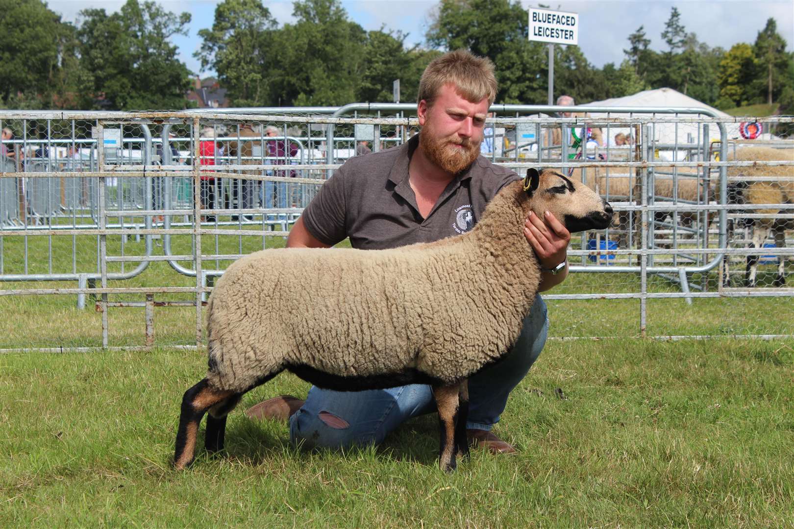 The Small and Horned Minority Breeds champion. Picture: Kyle Ritchie