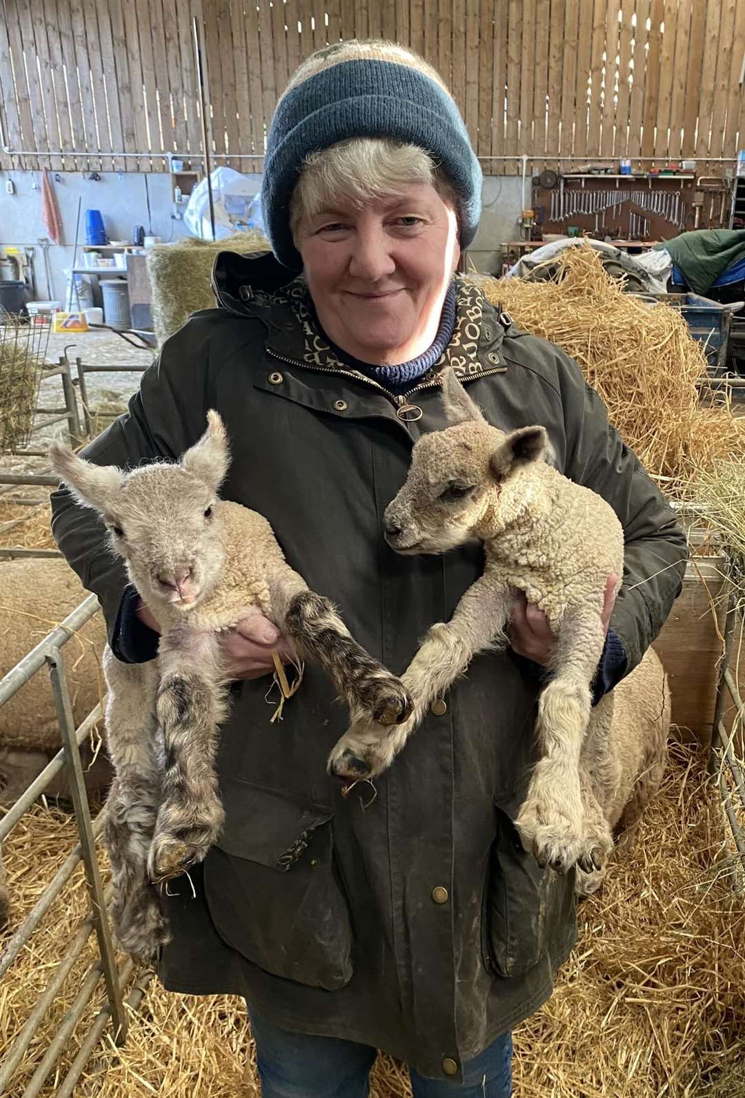 Lambing day at Lumsden