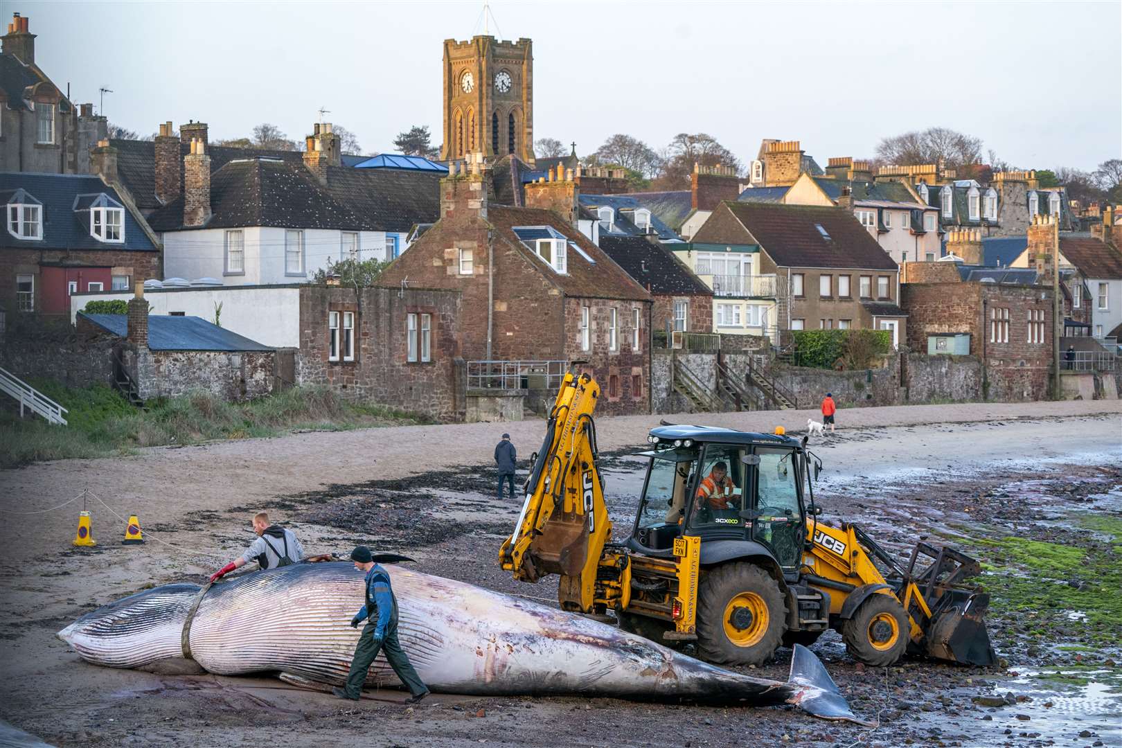 The workers took several hours to remove the whale from the beach (Jane Barlow/PA)