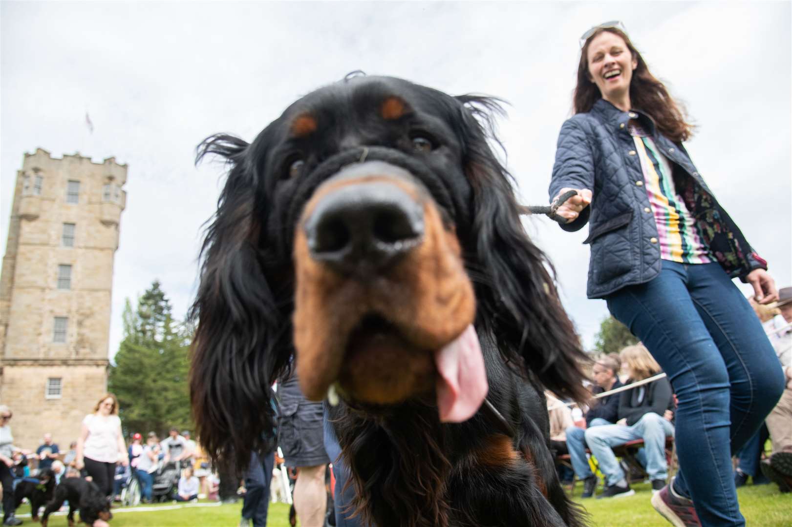 More than 70 Gordon Setters were among the event's visitors last year Picture: Daniel Forsyth.