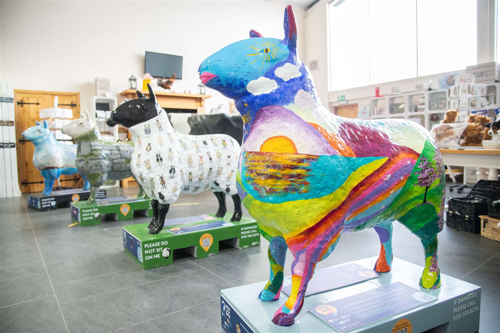 Five sheep statues were located at Allarburn Farm Shop in Elgin. Sheepscape designed by Charity McArdle, Stone By Stone designed by Victoria Randlo, The Breeds designed by Alasdair Couzens, Glen Gustavo designed by Lol Awada and Scottish Wildflowers designed by Daria Zapala. Picture: Daniel Forsyth..