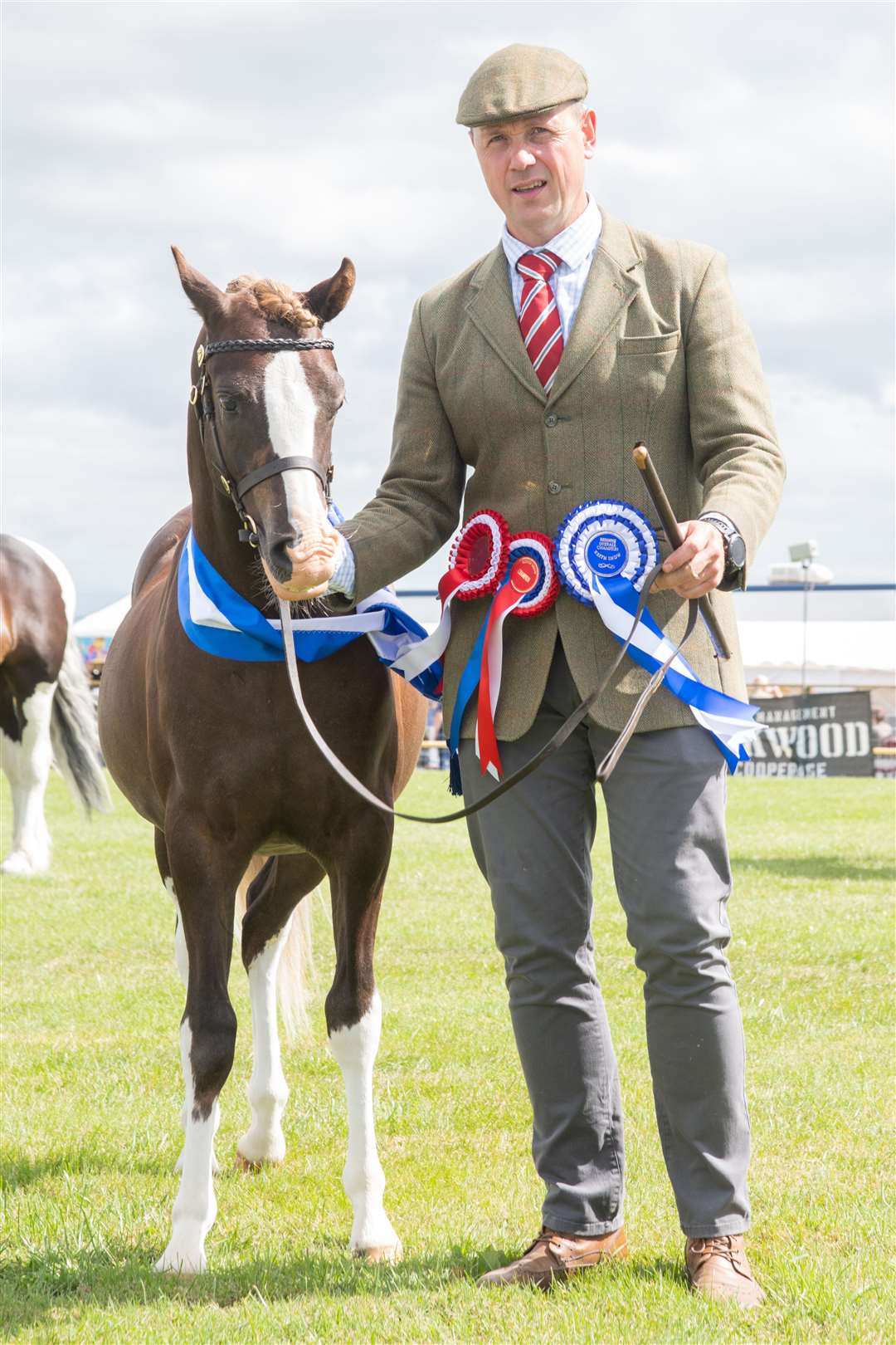 Reserve supreme champion Greig Stables with Strathisla Spartacus at Keith Show Sunday. Picture: Daniel Forsyth